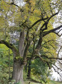 Foto von Ugo Olivotto entlang der Tour