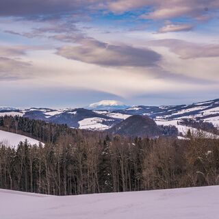 Winterwandern am Weg der Blicke Bad Schönau