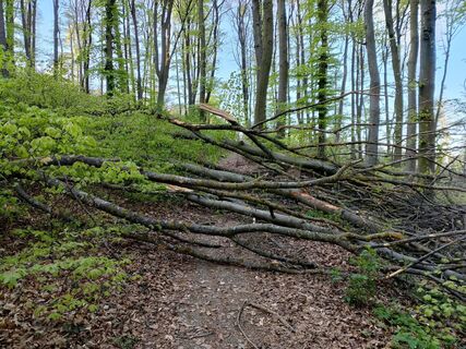 Foto von Poschacher entlang der Tour