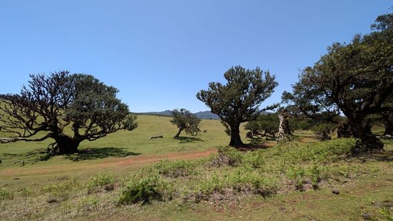 Photo de Evah Deedee le long du parcours