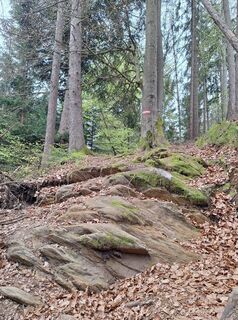 Fotografie z Dagmar Hofer na trase