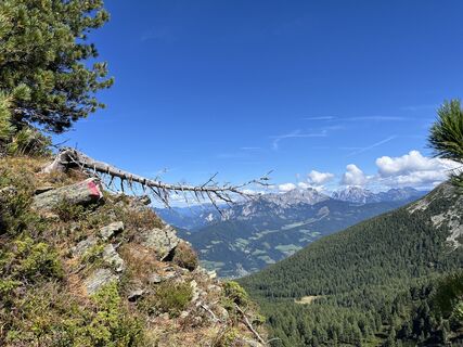 Photo de Bernhard Koller le long du parcours