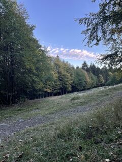 Photo de Bacskai János le long du parcours