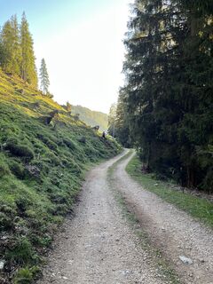 Foto de Csuti46 a lo largo del recorrido