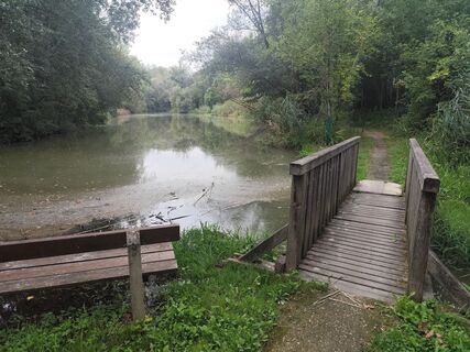 Photo de Edith K. le long du parcours