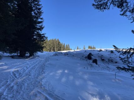 Fotó a Amiks honlapról a túra során