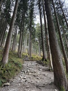 Foto de Denise Miller a lo largo del recorrido
