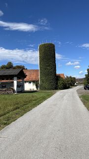 Fotografia z Mandi_3000 na trase