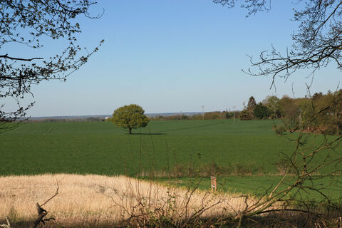 Landschaft am Dürsberg