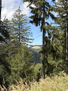 Photo de MonikaFischer77 le long du parcours