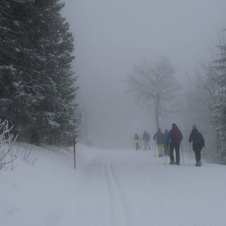 vor Schutzhütte - Winterwanderung Schwarzenbühl-Ottenleue