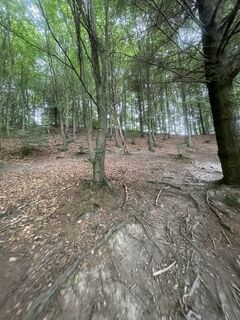 Fotografia z Döbröczöni Csaba na trase