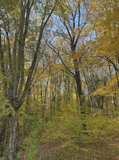 Kuva osoitteesta Ulrich Höhs matkan varrella