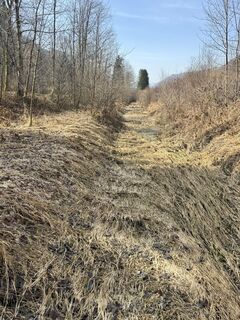 Foto von Beckhaus-Sven.com entlang der Tour