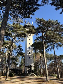 Fotografia z RS76 na trase