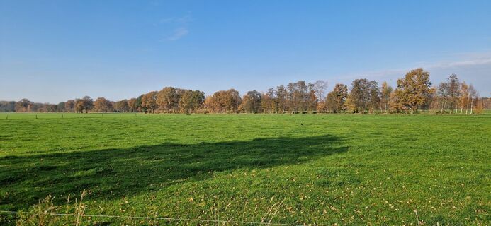 Fotografie z Reinier Sterkenburg na trase
