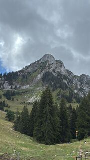 Photo de Barbara Rubitschun le long du parcours