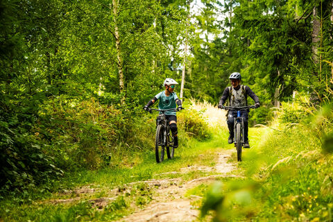 Mountainbike Töscheldorf