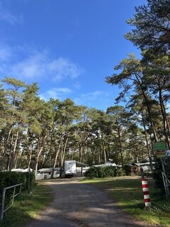 Fotografija s spletne strani Kurt Hackenbeck na poti