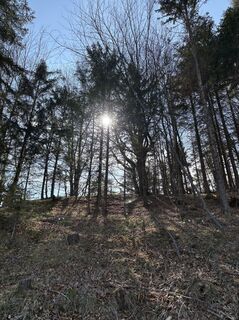 Photo de Moonytiger le long du parcours