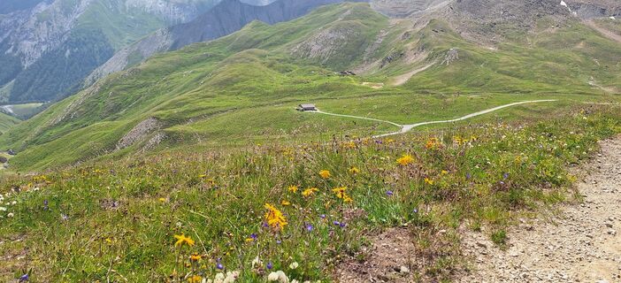 Fotografia z Günther Karrer na trase