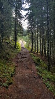 Wanderweg zur Gönneralm