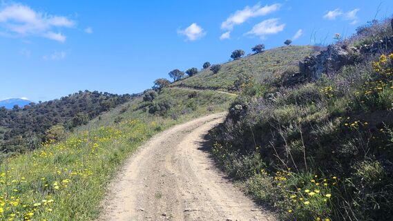 Foto von CPQS entlang der Tour