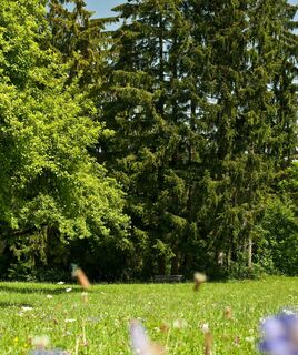 Auf dem Weg zur Lochmühlen Kapelle