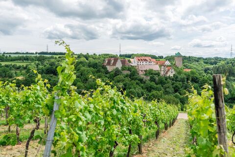 DSGVO NT Neckarwestheim Schloss Liebenstein 1 WEB