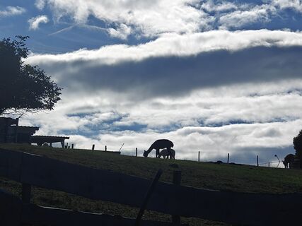 Fotografia z magmaso na trase