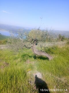 Zdjęcie z ale civ wzdłuż trasy