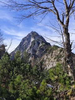 Fotografija s spletne strani Edith K. na poti
