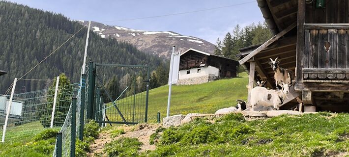 Fotó a Tobias Peschanel honlapról a túra során