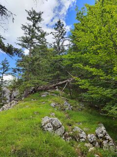 Photo de ReginaSt le long du parcours