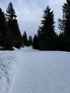 Foto von Stan Pieters entlang der Tour