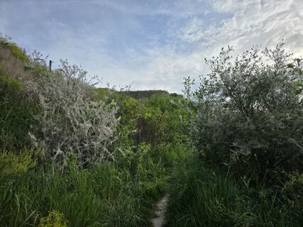 Fotografia z Noreen (NoKe) na trase