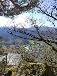 Foto de ReginaSt a lo largo del recorrido