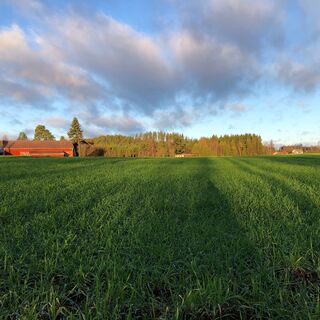 Feldlandschaft rund um das Naturzentrum Iso-Äiniö