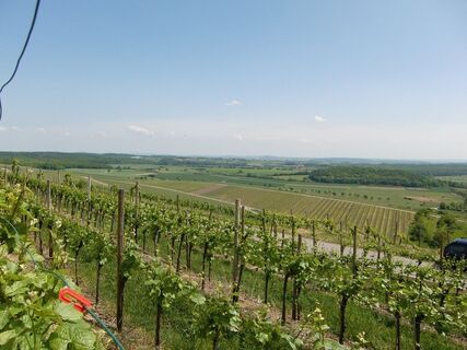 Blick vom Schönenberg Hohenhaslach