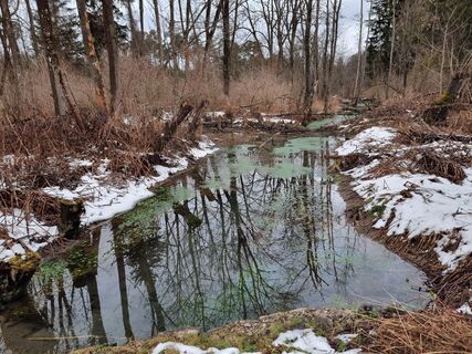 Fotografia z Felix na trase