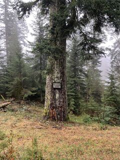 Foto von Andreas Krupa entlang der Tour