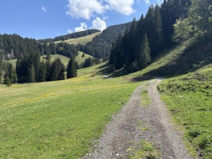 Foto von Similaun entlang der Tour