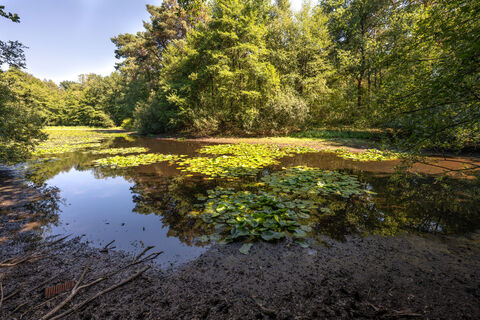 Naturschutzgebiet Kranenmeer