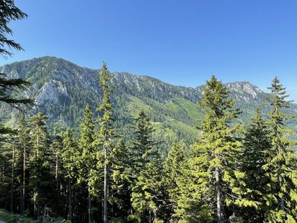 Foto von voeslauer entlang der Tour