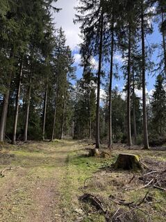 Foto von Benedikt Pracht entlang der Tour