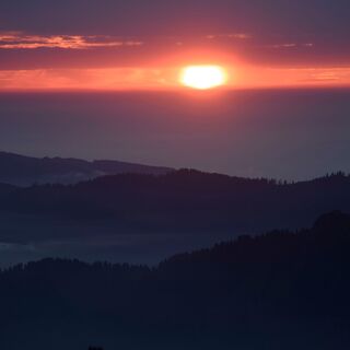 Natur pur
