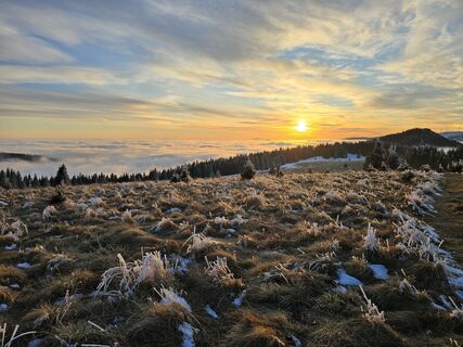 Foto von TwilightTea entlang der Tour