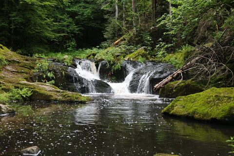 Fotografie z Anja_wandert na trase