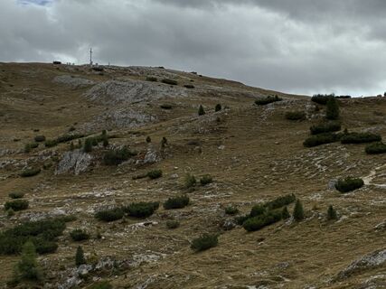 Foto von Ralf Niethammer entlang der Tour
