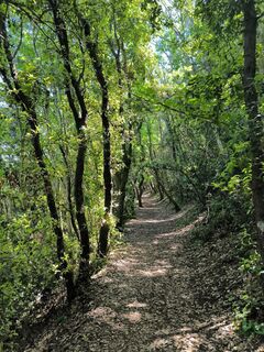 Fotografie z Mirco moretti na trase